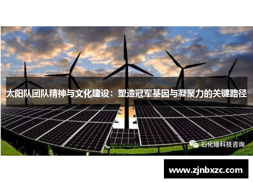太阳队团队精神与文化建设：塑造冠军基因与凝聚力的关键路径